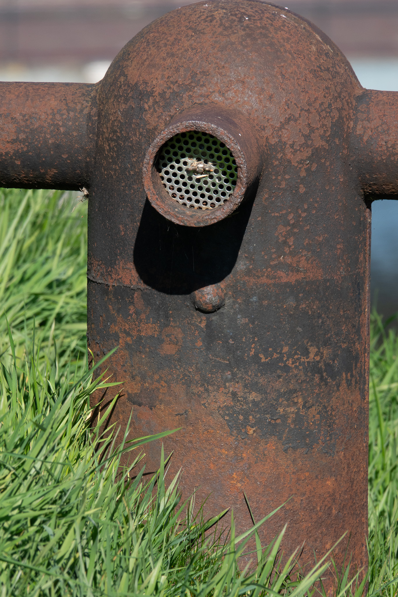 20260321   Fototrip Maart   Naarden vesting   059